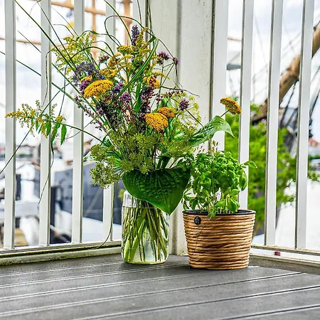 Promenadenvilla 03 04 Lubeka